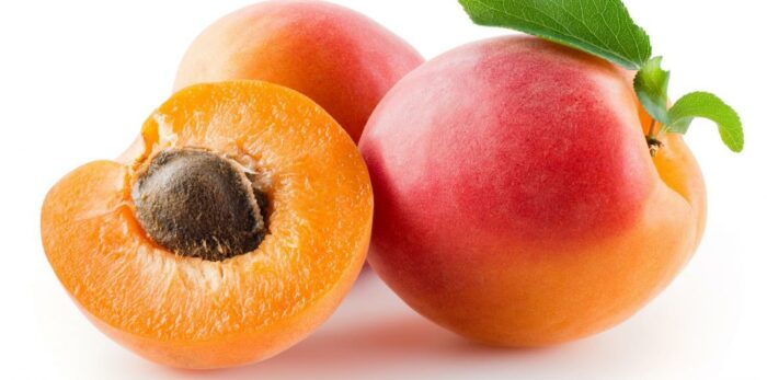 Abricot Orangered