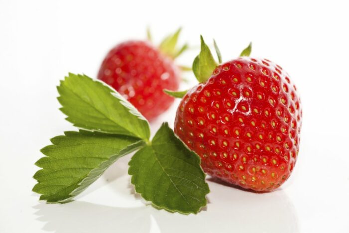 Fraise Magnum extra