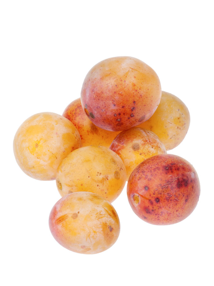 Prune Mirabelle