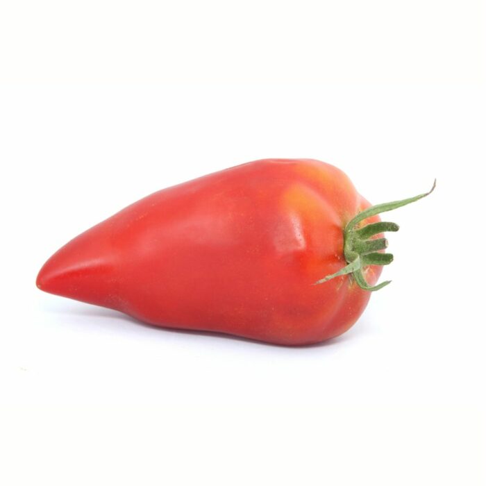 Tomate Cornue des Andes