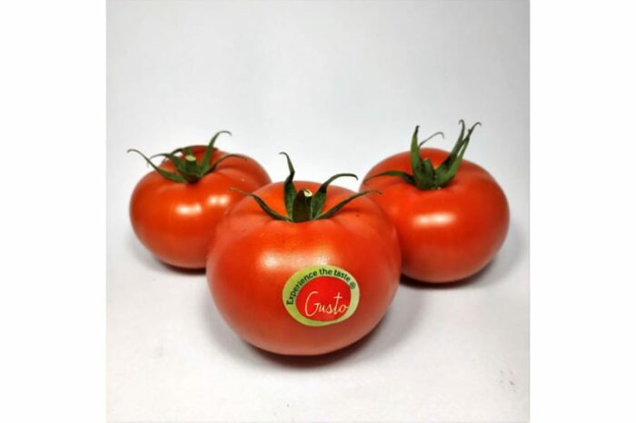 Tomate ronde Gusto