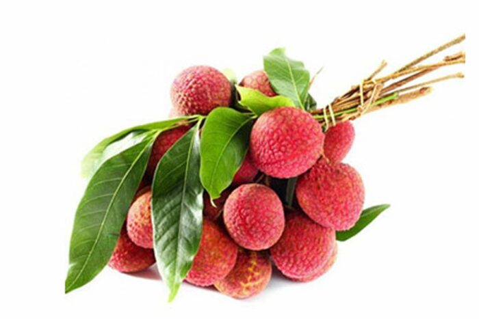 Litchi en branche Extra