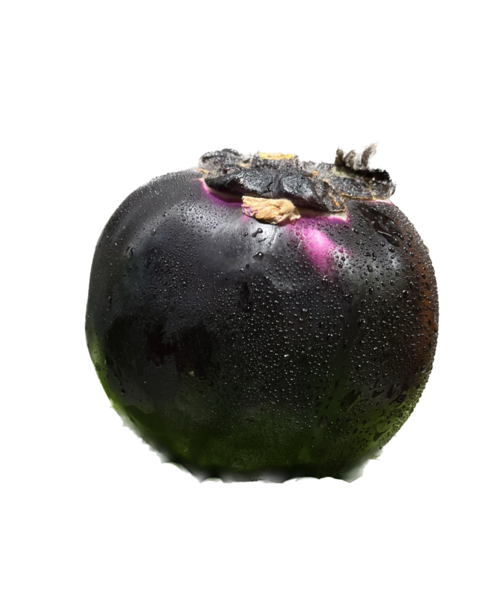 Aubergine ronde Sicilienne